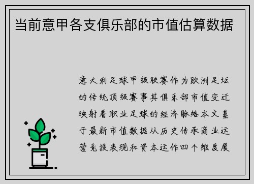 当前意甲各支俱乐部的市值估算数据